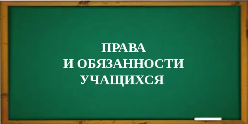 Правила обучения. Права и обязанности учащегося.